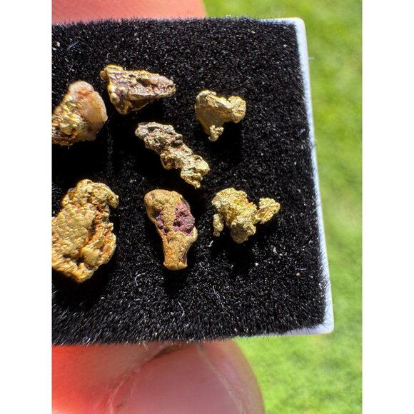 Arizona Gold Nuggets in Display Case - 0.62 grams - Picture 5 of 6
